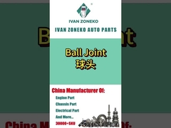 이반 조네코 - 공관절